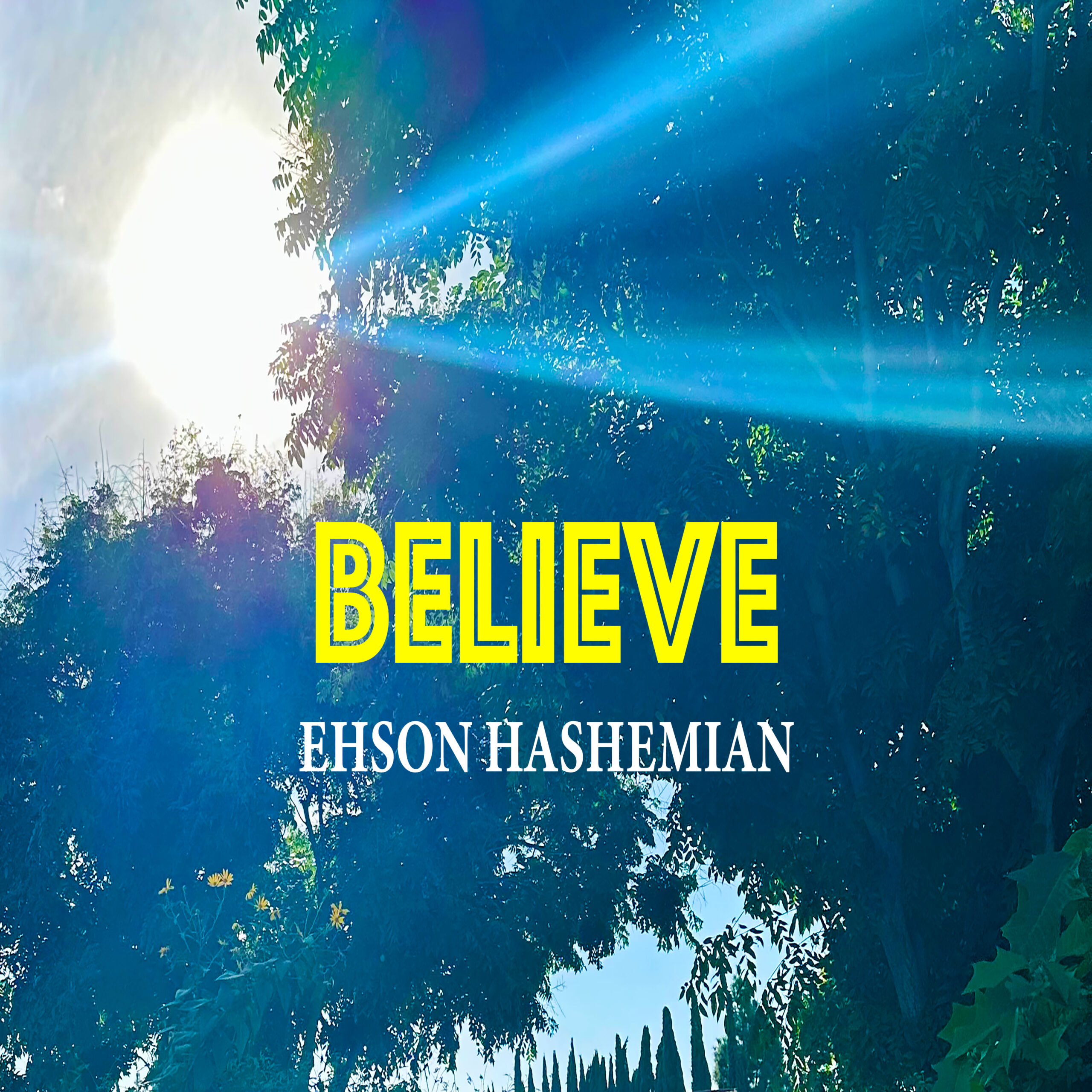 Ehson Hashemian
