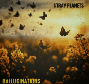 Stray Planets