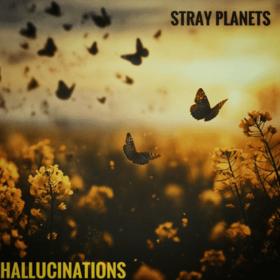 Stray Planets