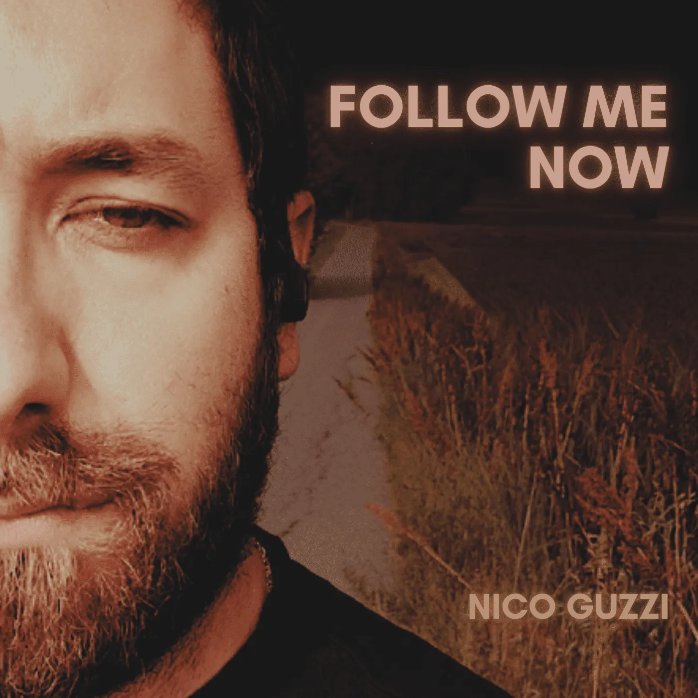 Nico Guzzi