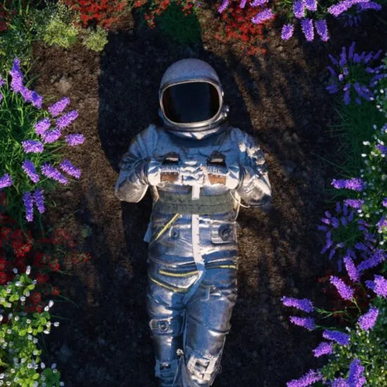 Shayan Regan